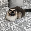 juliedmartin26